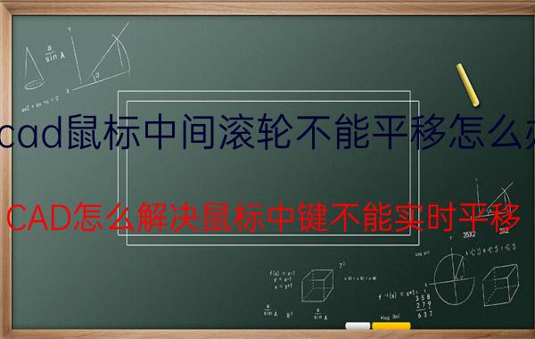 cad鼠标中间滚轮不能平移怎么办 CAD怎么解决鼠标中键不能实时平移？